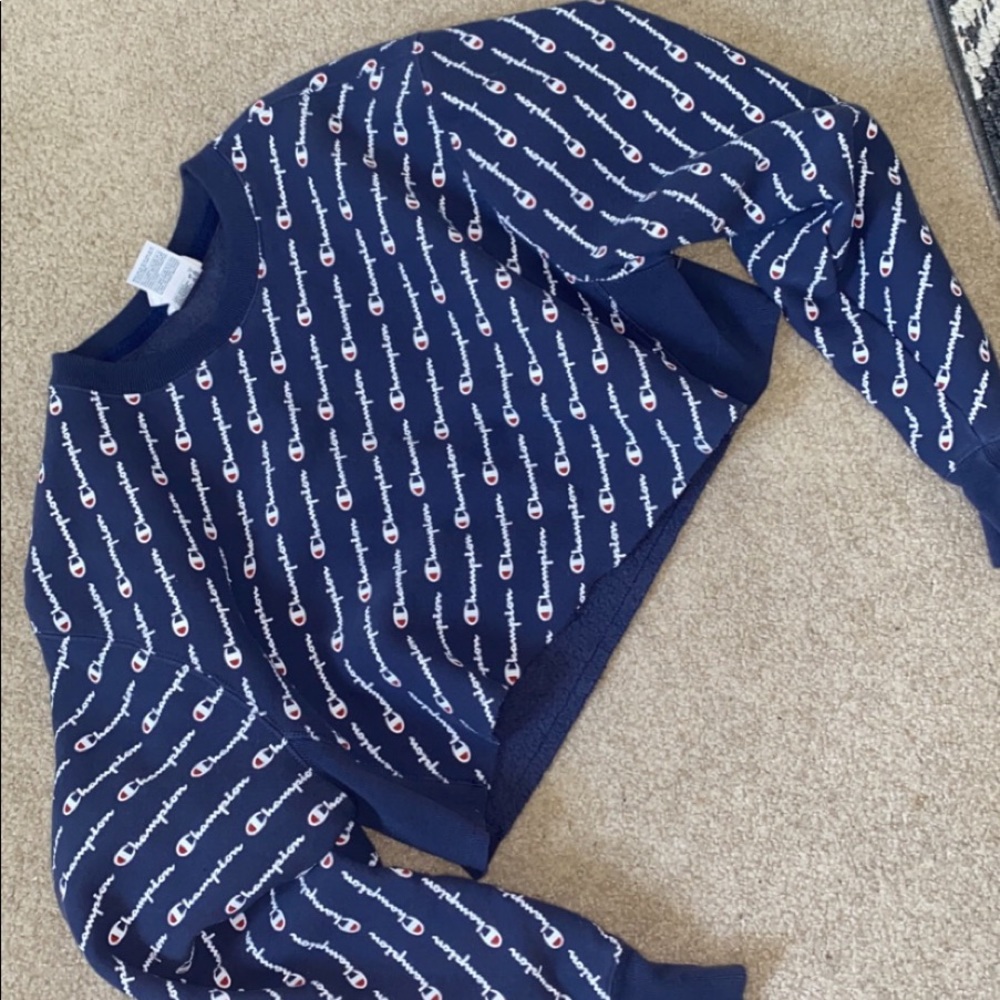 Champion cropped sweatshirt
